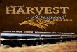 1st Annual Harvest Angus Bull Sale