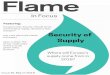 Flame in Focus, Issue #1