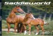 Saddleworld product guide
