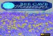 Bee Cave - March 2015