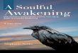 A Soulful Awakening - by Stephanie Banks