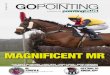 Go Pointing | 03 March 2015