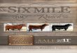 Six Mile Ranch 40th Annual Bull Sale 2015