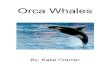 Orca Whales by Katie Cramer