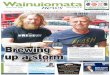 Wainuiomata News 10-03-15
