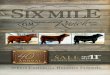 Six Mile Ranch 40th Annual Bull Sale, 2015