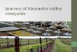 Journey of alexander valley vineyards