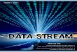 Data Stream 1.2