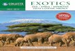 Exotic Tours | Collette Vacations