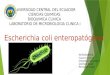 Ecoli Enteropatogena EXPO