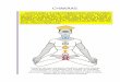 Manual Chakras Kundalini Yoga