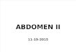 Abdomen II 11-19-2015 Student