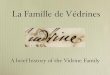 La Famille de Védrines - The Vidrine Family