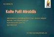 Kolte Patil Mirabilis - Horamavu, Bangalore- Reviews, Location, Price, Offers – 08033512375