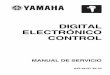 Control Digital Electronico