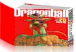 DragonBall Vol20