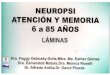 Neuropsi- Laminas