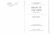 Brain of the Firm (Stafford Beer)