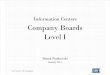 Level i Company Boards