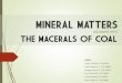Mineral Matters in Batubara