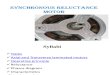 synchronous reluctance motor.pdf