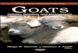 Goats Habitat, Breeding and Management - (Freebookbank.net)