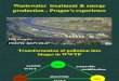 Wastewater Treatment & Energy Production