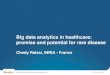 Big data analytics in healthcare: promise and potential for rare disease