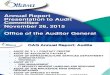 Presentation Annual Report Audit 2015