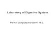 Digestive System Laboratory 1-58