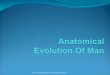 Anatomical Evolution of Man