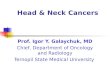 03. Head and Neck Cancers