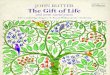 RUTTER, J.- Choral Music (the Gift of Life and 7 Sacred Pieces) (Cambridge Singers, Royal Philharmonic, Rutter)