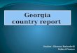Financial report Georgia vs Estonia
