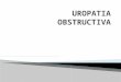 Uropatía Obstructiva-Dra. M. PIA