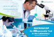 Microscopes - An Indispensable Tool in the Laboratory