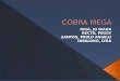 Cobra Mega Deck - DLSU