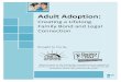 Adult Adoption Booklet With Forms