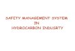 12588864 Safety Management System in Hydrocarbon Industry Copy