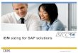 D2-3 - IBM Sizing for SAP Solutions