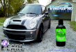 Visual Pro Detailing-The Results Will Speak for Themselves
