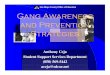 Gang Awareness and Prevention Strategies