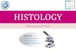 Revision - Histology Ospe Git
