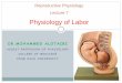 Lecture 7- Physiology of Labor