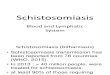5.1. Schisostomiasis