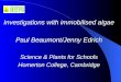 Investigations with immobilised algae Paul Beaumont/Jenny Edrich Science & Plants for Schools Homerton College, Cambridge