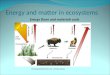 Energy and matter in ecosystems  Energy flows and materials cycle