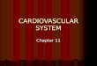 CARDIOVASCULAR SYSTEM Chapter 11. CIRCULATORY SYSTEM- 2 interconnected circuits connected at the heart; also contains arteries, capillaries, veins, and