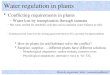 Conflicting requirements in plants Water regulation in plants How do organisms ‘solve’ common problems? –Water lost by transpiration through stomata –If