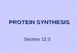 PROTEIN SYNTHESIS PROTEIN SYNTHESIS Section 12.3